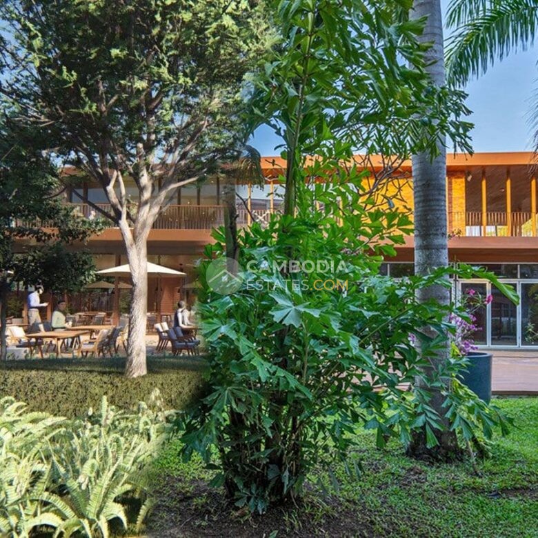 Angkor Grace Residence & Wellness Resort